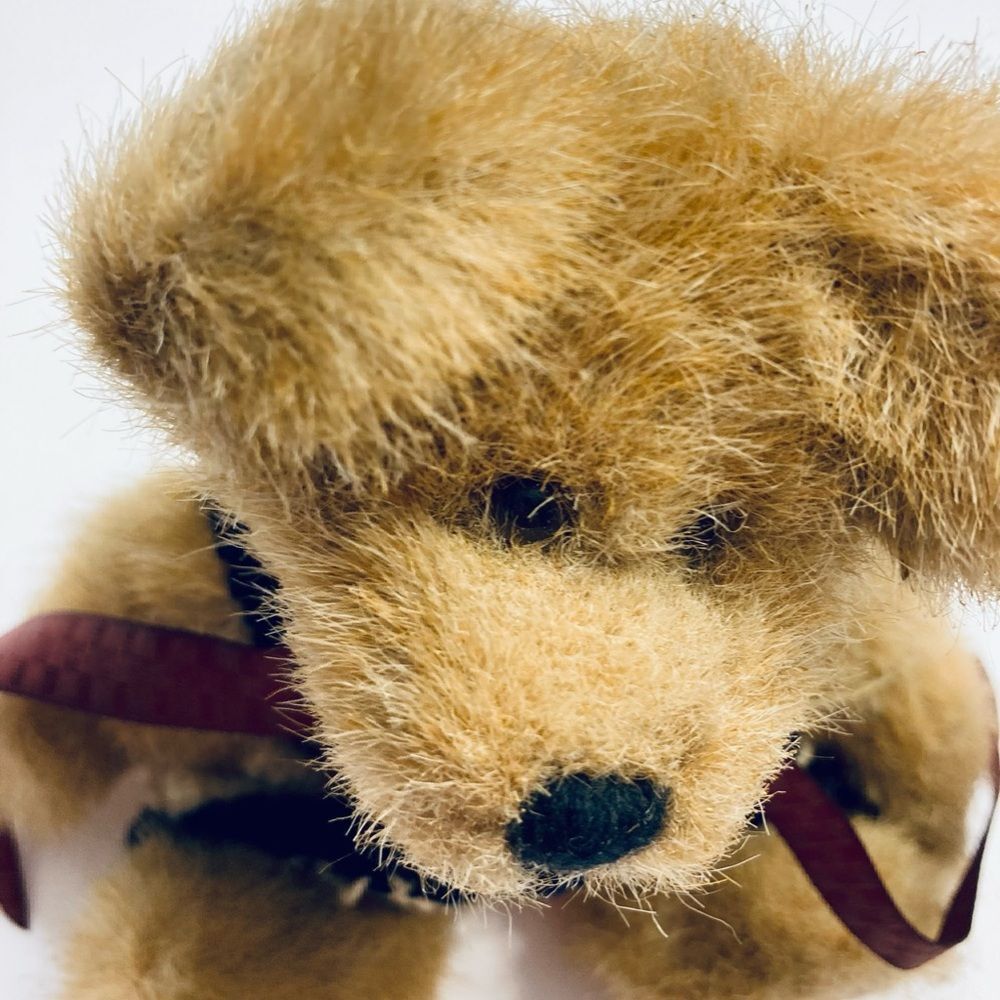 Boyds Bear‎ Plush #02000-31 CAITLIN BERRIWEATHER 8" - Picture 7 of 11